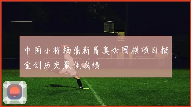 中国小将杨鼎新青奥会围棋项目摘金创历史最佳战绩