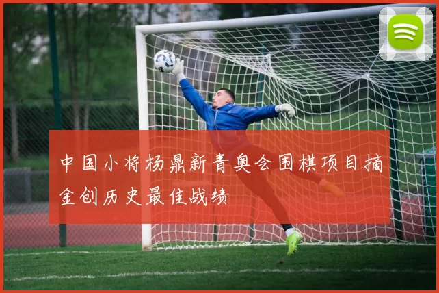 中国小将杨鼎新青奥会围棋项目摘金创历史最佳战绩