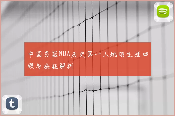 中国男篮NBA历史第一人姚明生涯回顾与成就解析